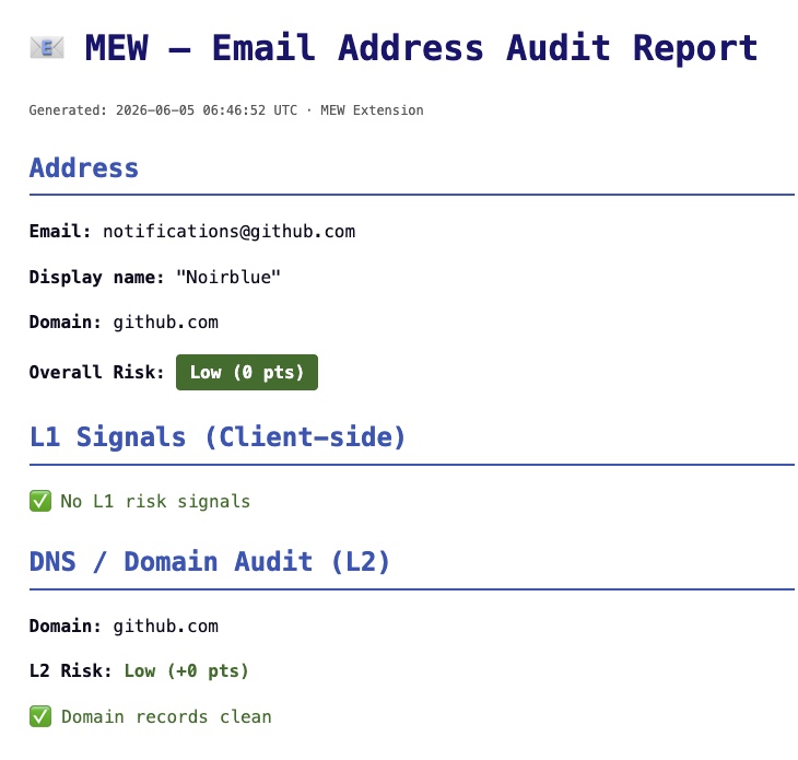 Email audit report